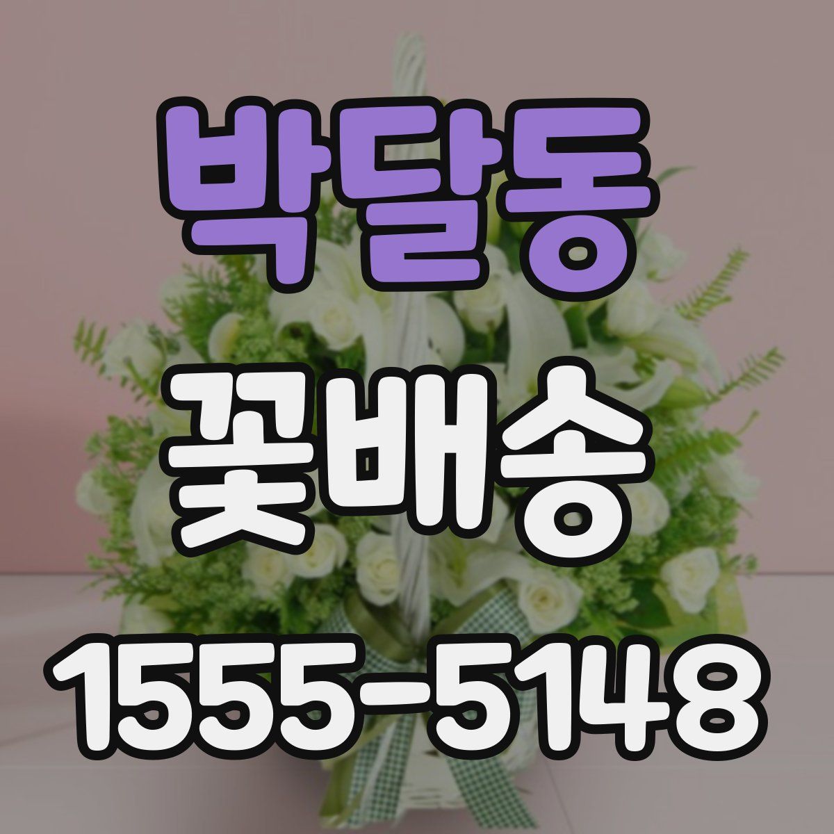 박달동 꽃배송