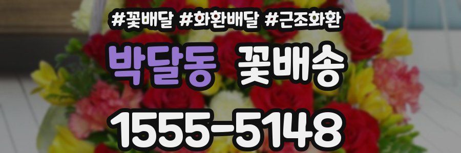 박달동 꽃배송