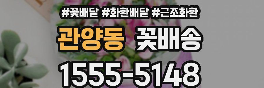 관양동 꽃배송