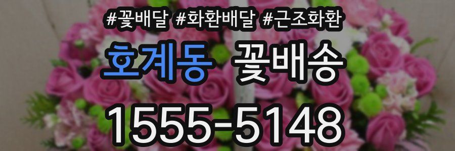 호계동 꽃배송
