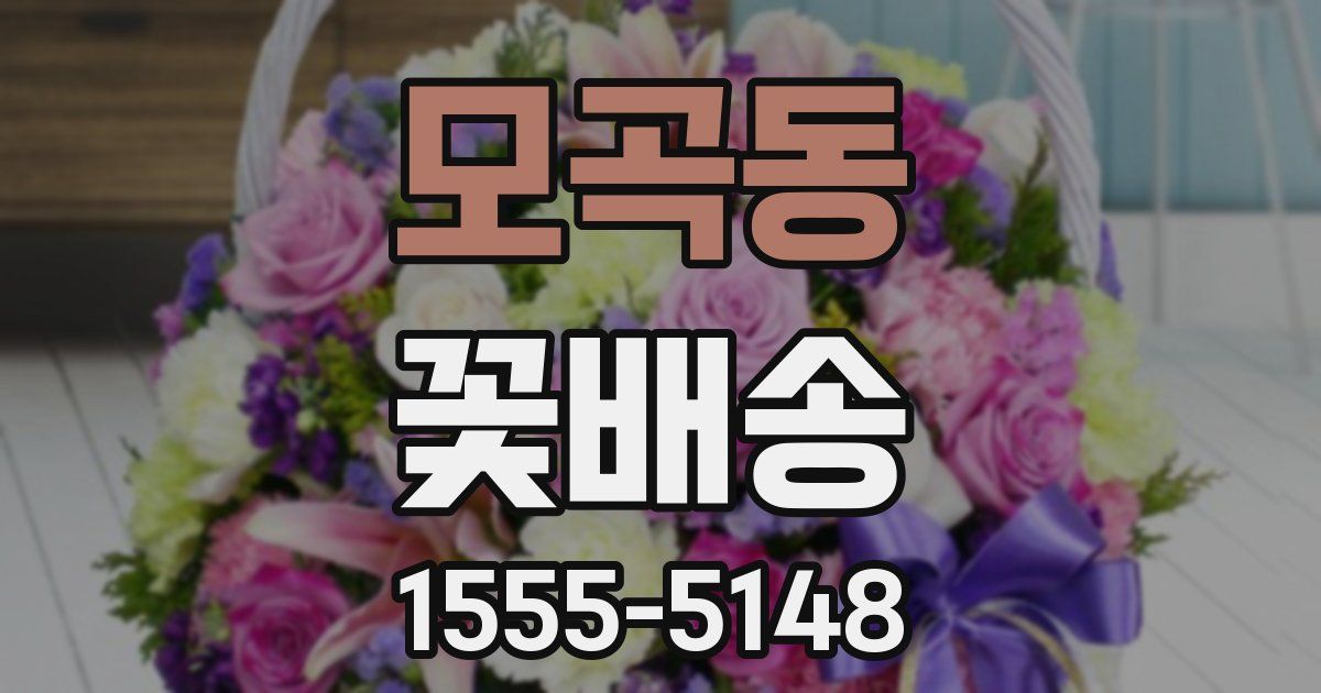 모곡동 꽃배송
