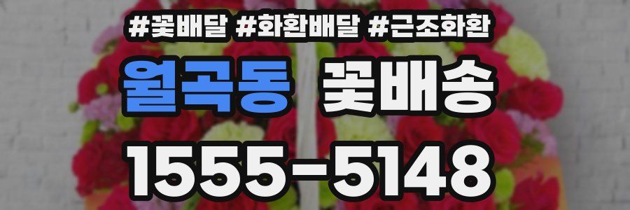 월곡동 꽃배송