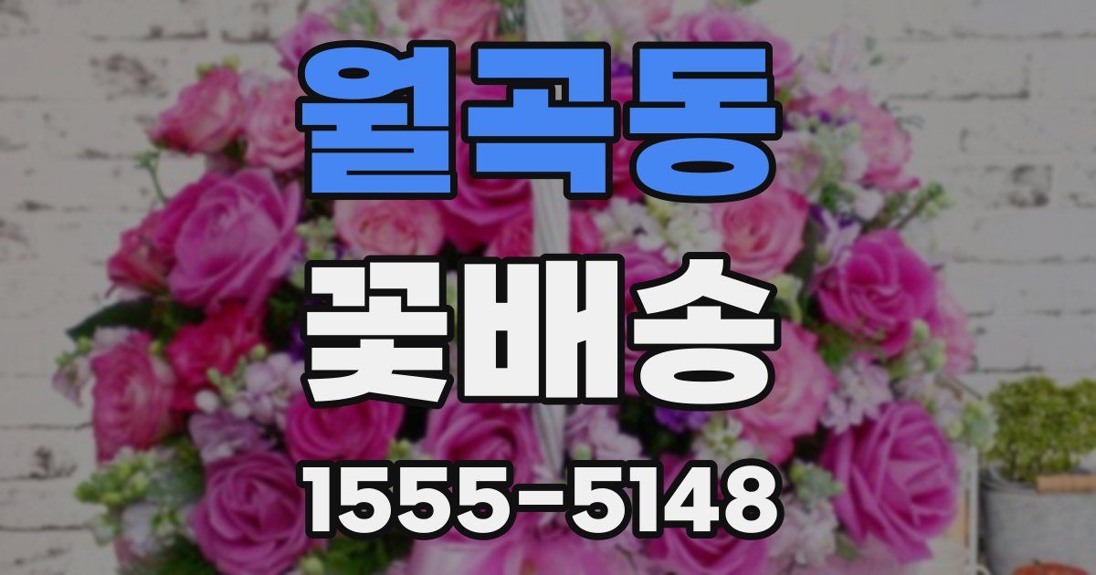 월곡동 꽃배송