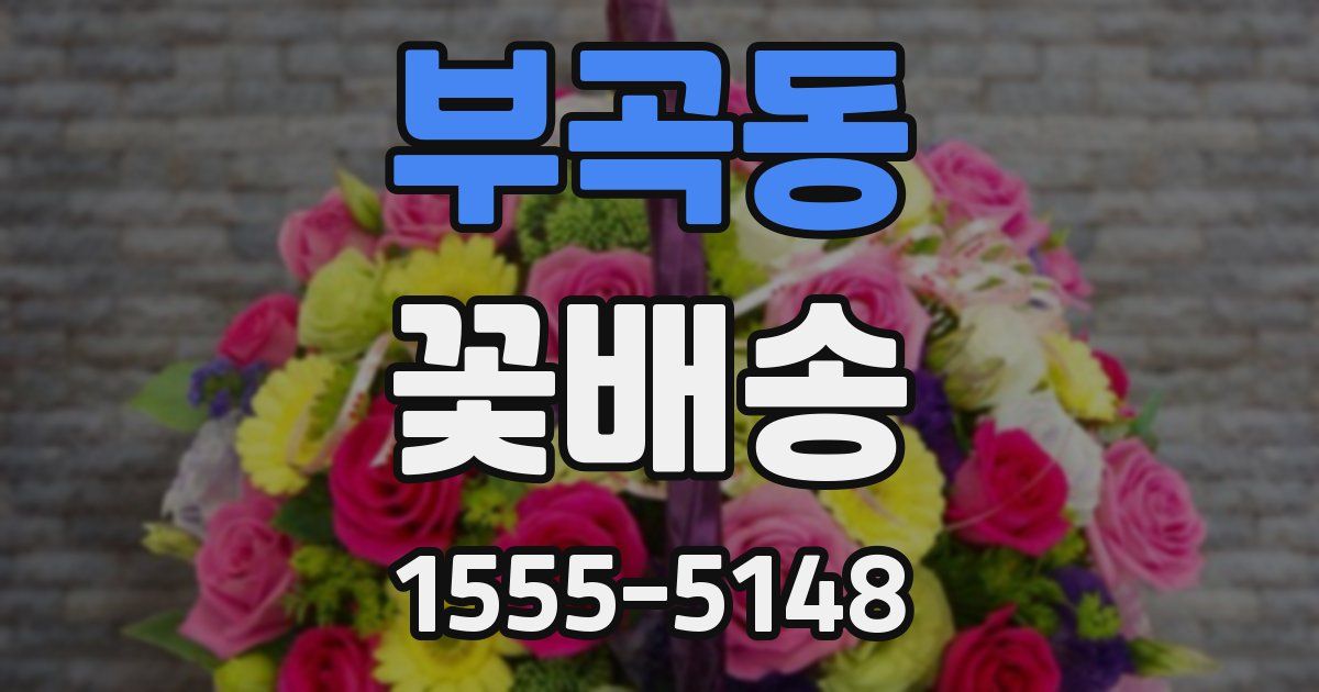 부곡동 꽃배송