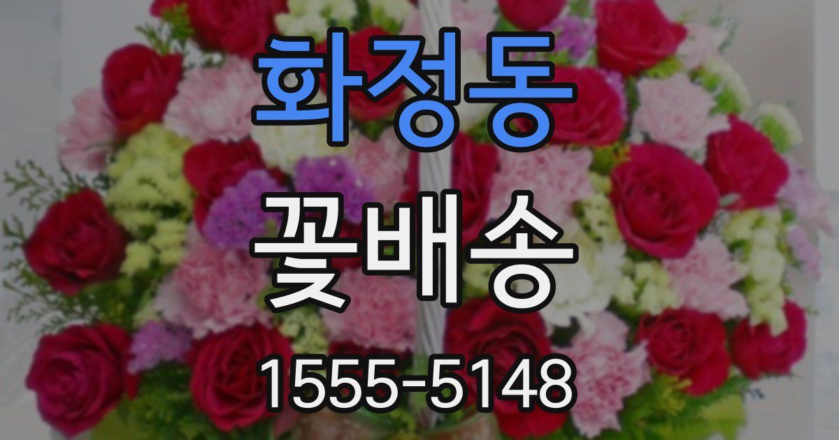 화정동 꽃배송