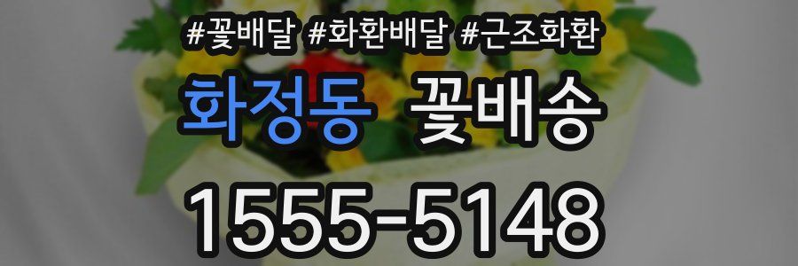 화정동 꽃배송