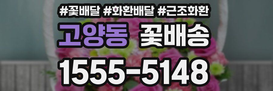 고양동 꽃배송