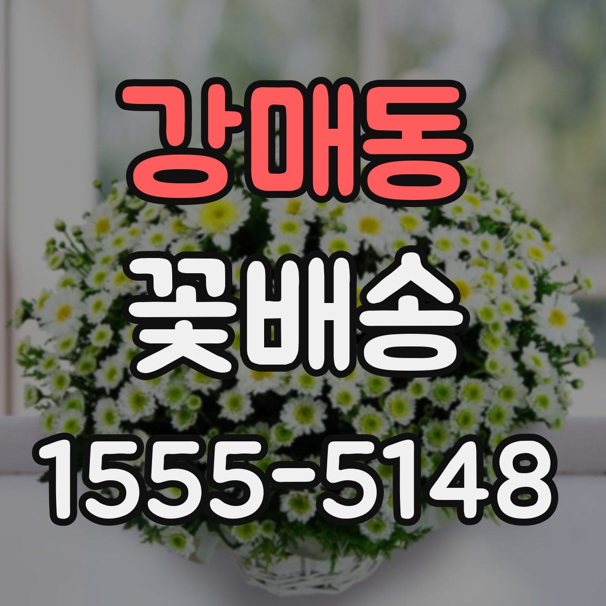 강매동 꽃배송