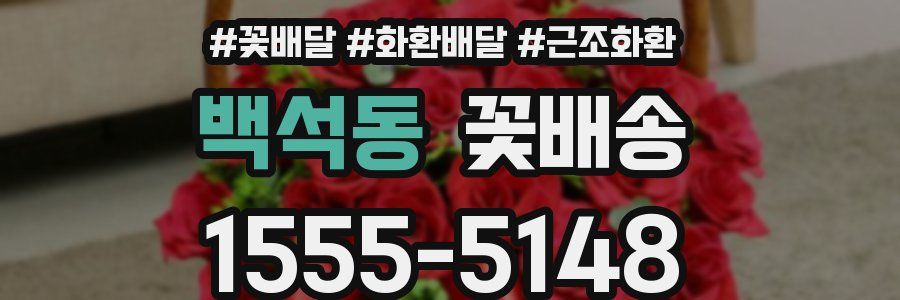 백석동 꽃배송