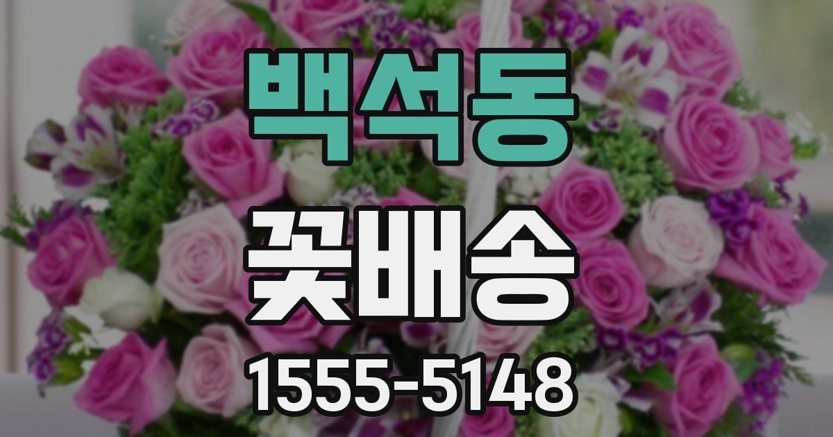 백석동 꽃배송