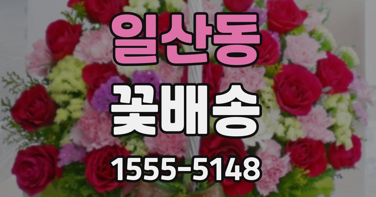 일산동 꽃배송