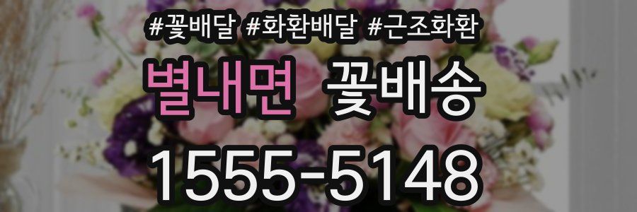 별내면 꽃배송