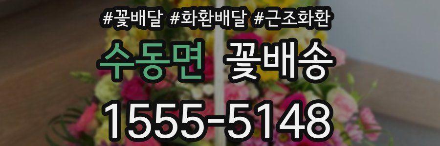 수동면 꽃배송