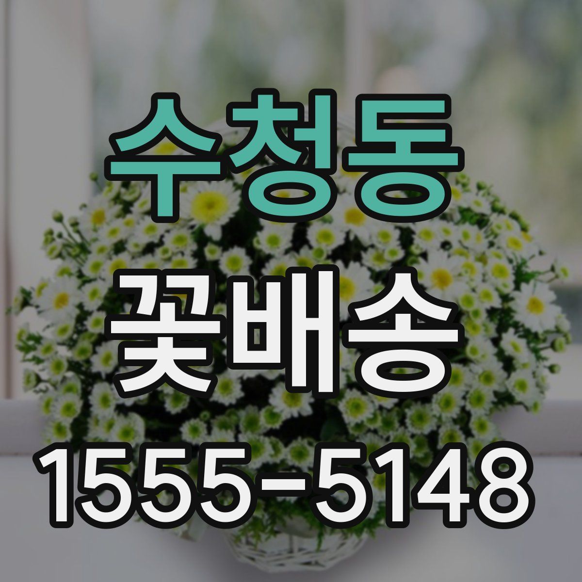 수청동 꽃배송