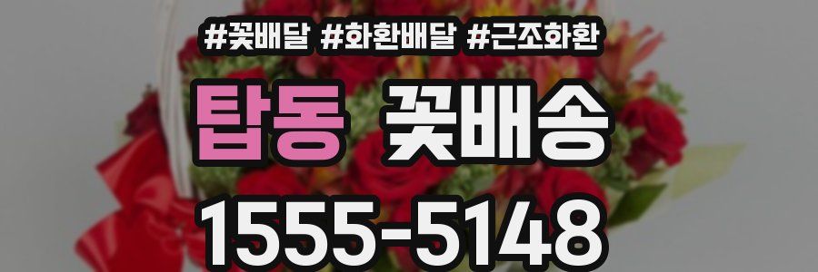 탑동 꽃배송