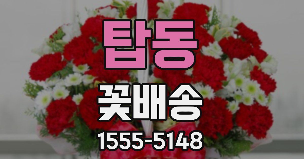 탑동 꽃배송