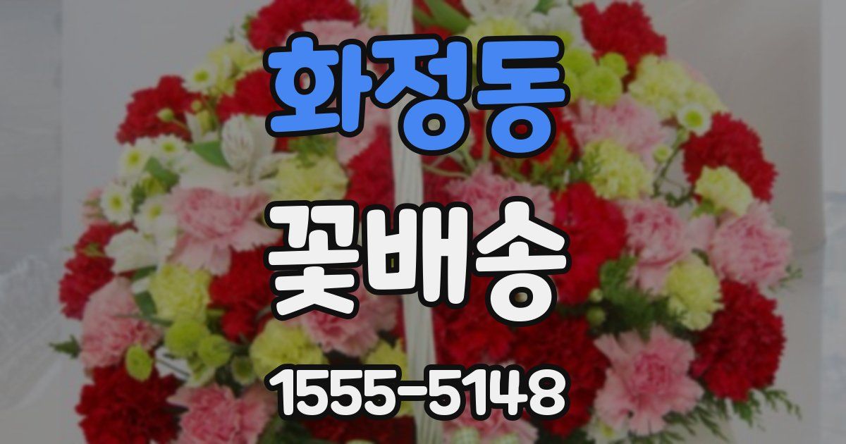 화정동 꽃배송