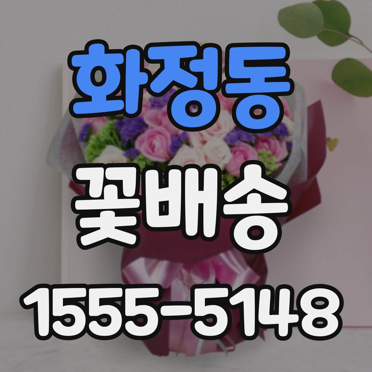 화정동 꽃배송