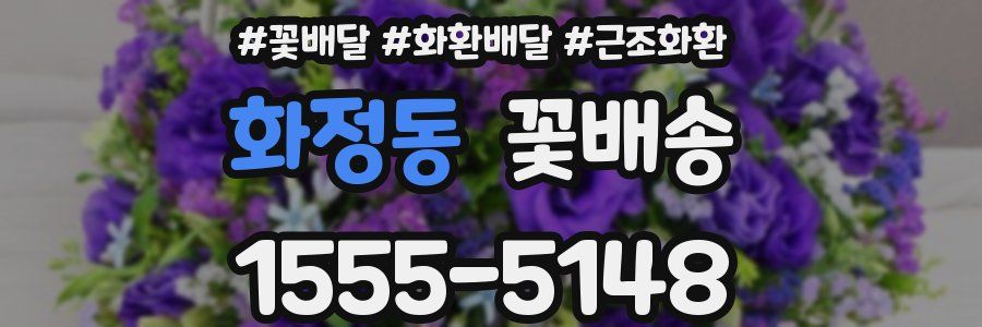 화정동 꽃배송