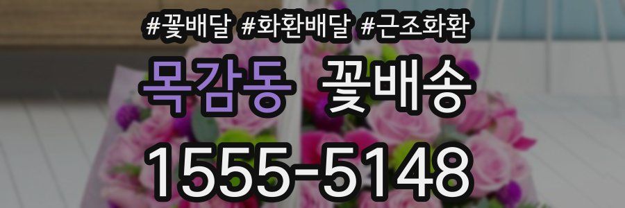 목감동 꽃배송
