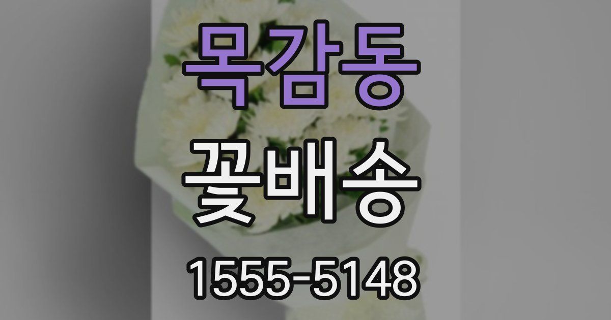 목감동 꽃배송