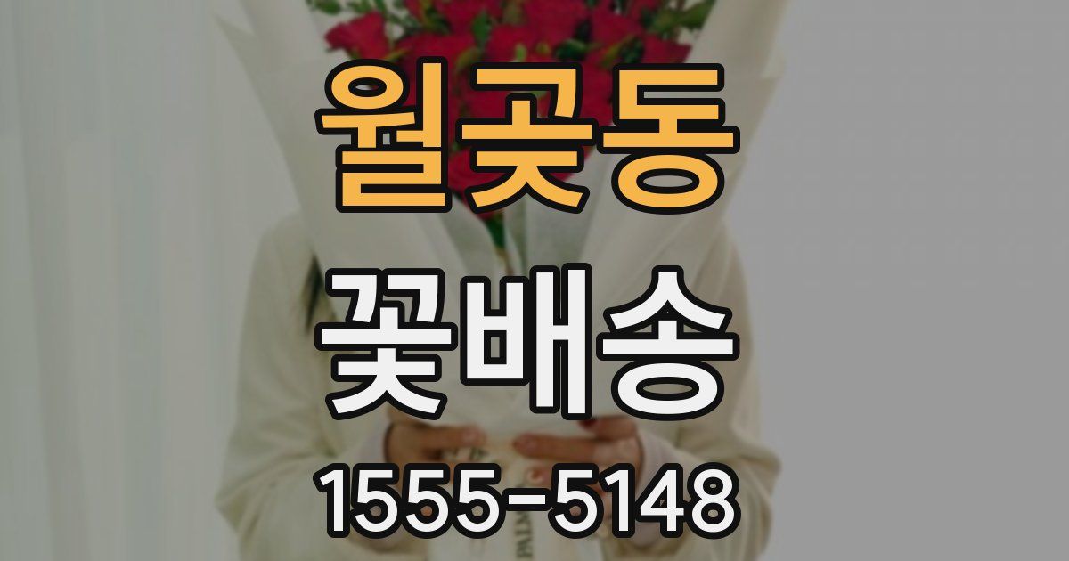 월곶동 꽃배송