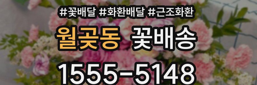 월곶동 꽃배송