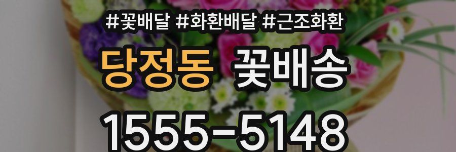 당정동 꽃배송