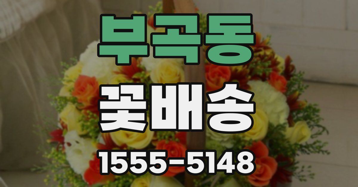 부곡동 꽃배송