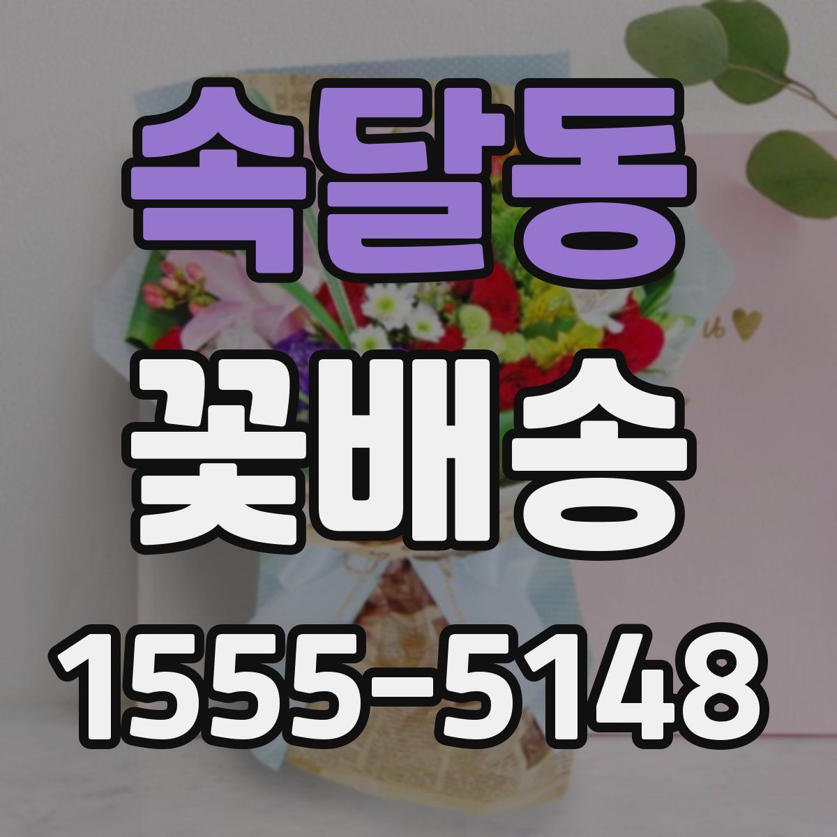 속달동 꽃배송