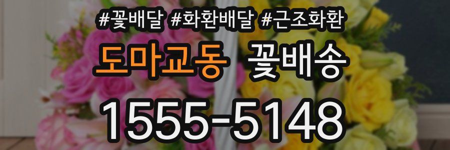 도마교동 꽃배송