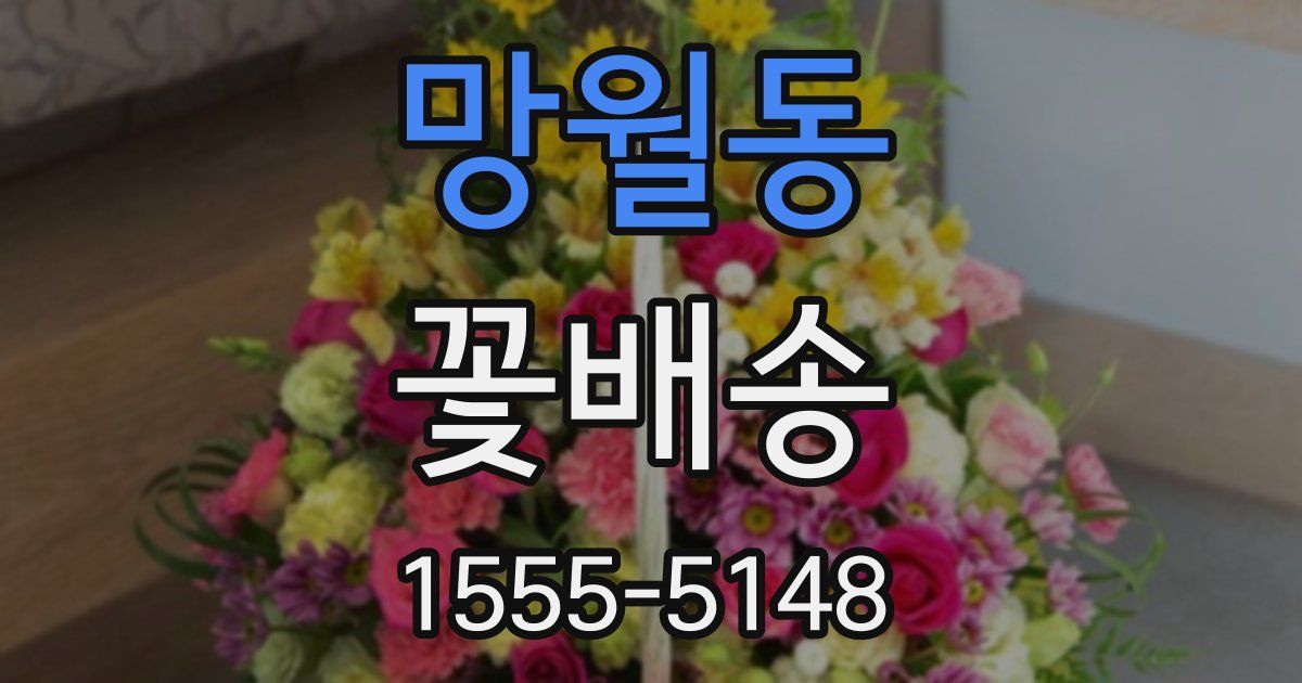 망월동 꽃배송