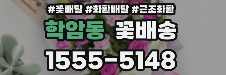 학암동 꽃배송