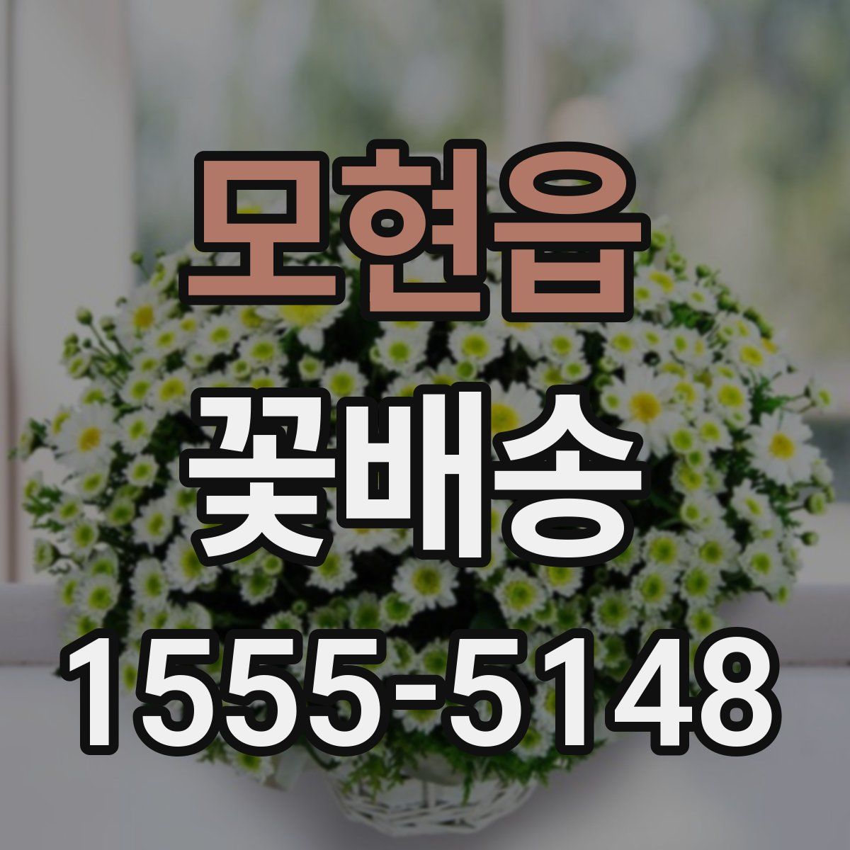 모현읍 꽃배송