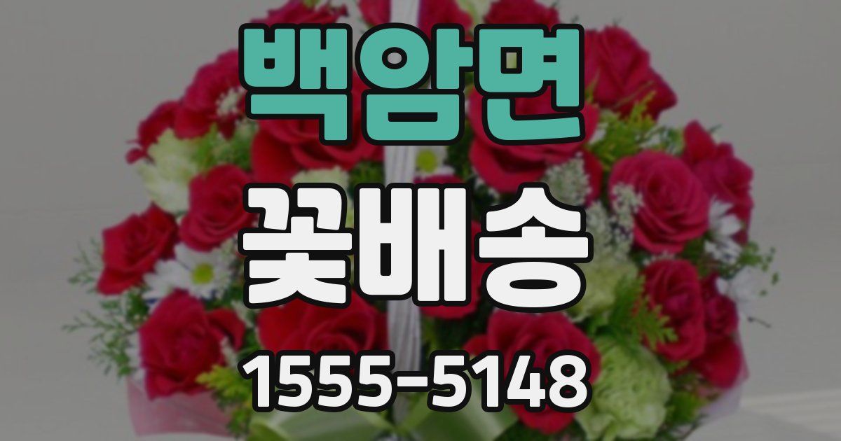 백암면 꽃배송