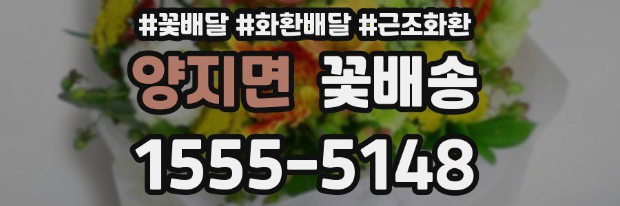 양지면 꽃배송