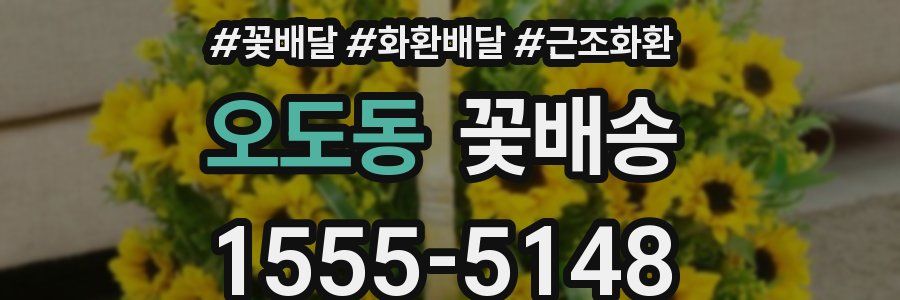 오도동 꽃배송