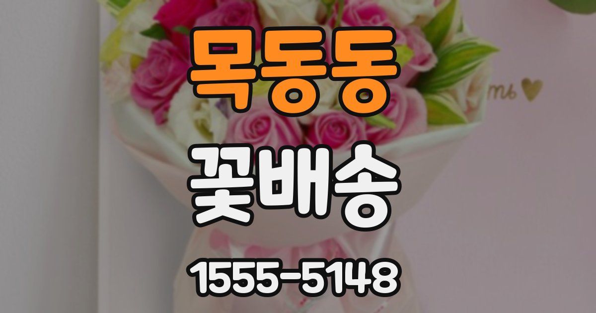 목동동 꽃배송