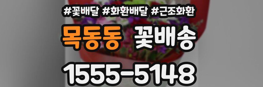 목동동 꽃배송