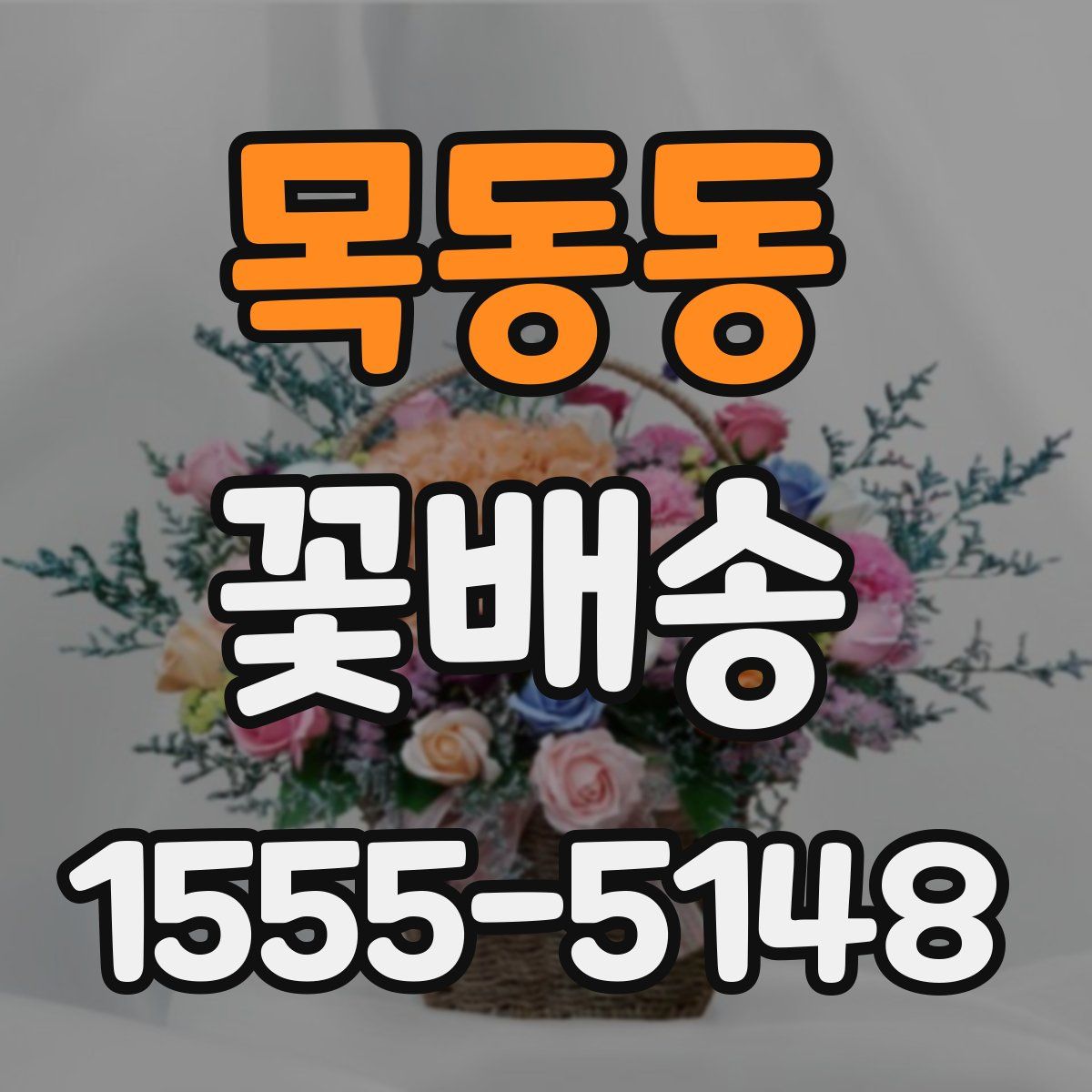 목동동 꽃배송