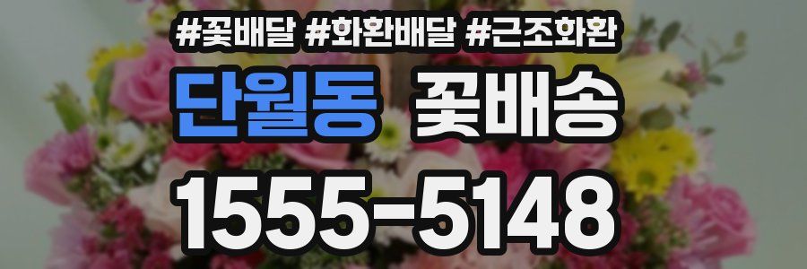 단월동 꽃배송