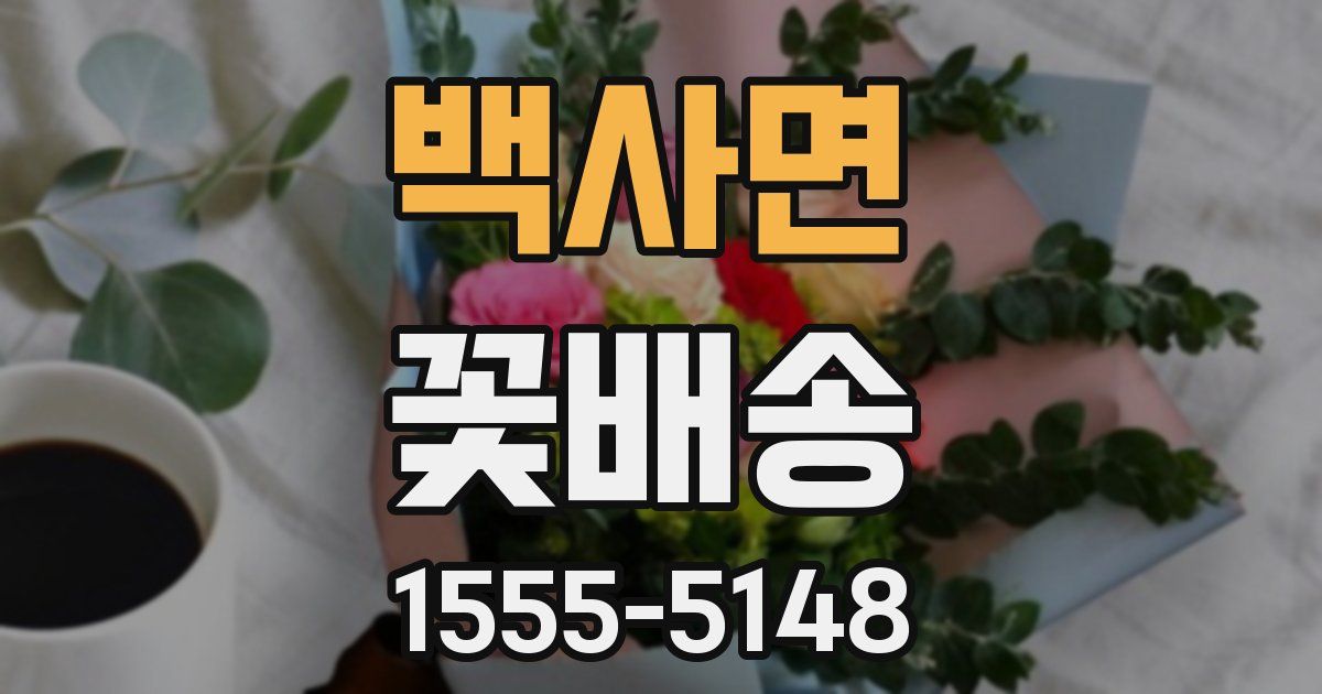 백사면 꽃배송
