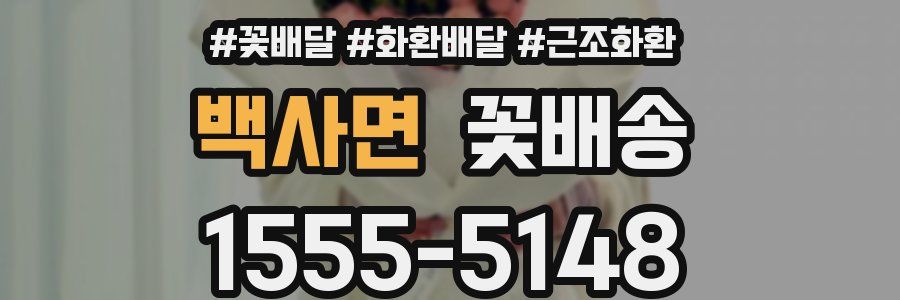 백사면 꽃배송