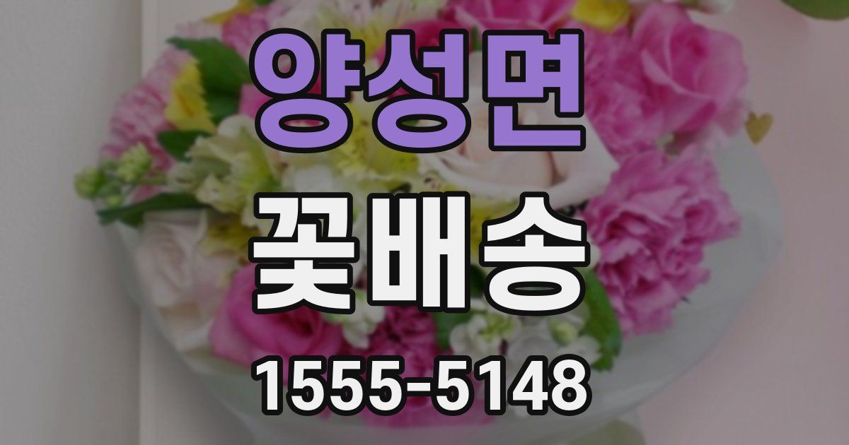 양성면 꽃배송