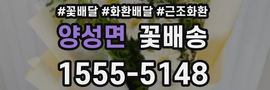 양성면 꽃배송