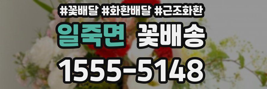 일죽면 꽃배송