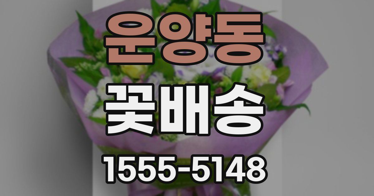 운양동 꽃배송