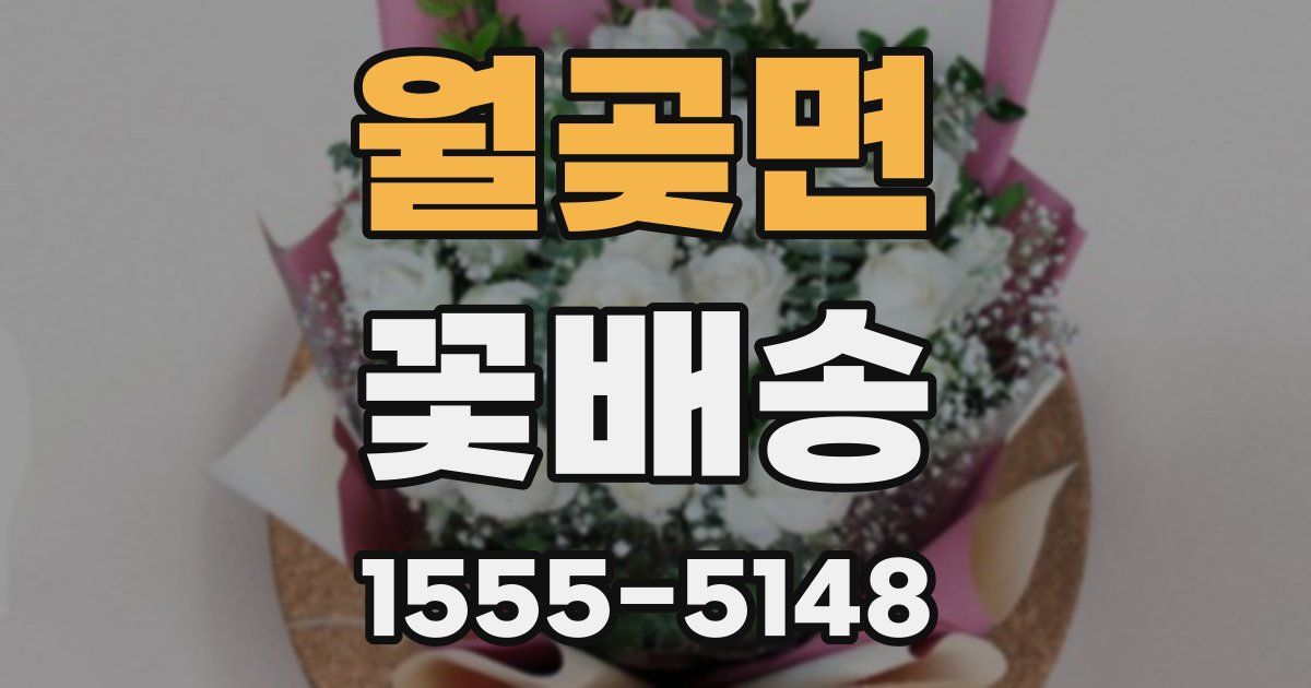 월곶면 꽃배송