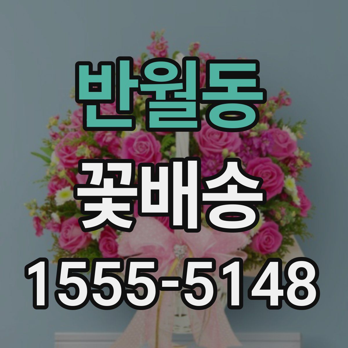 반월동 꽃배송
