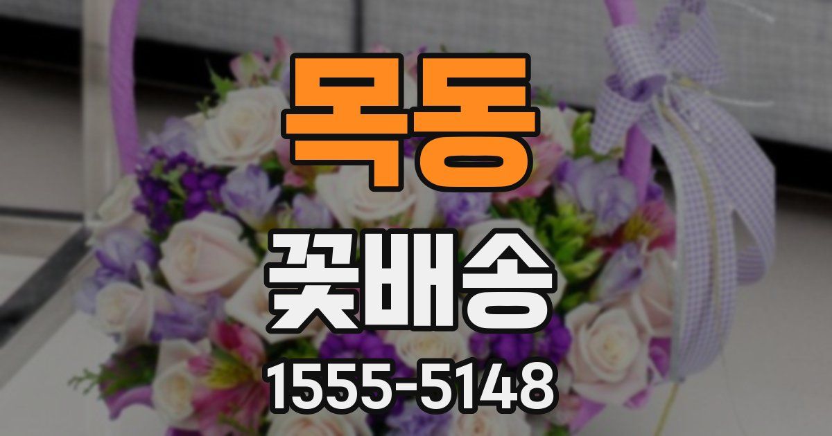 목동 꽃배송